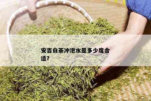 安吉白茶冲泡水是多少度合适？