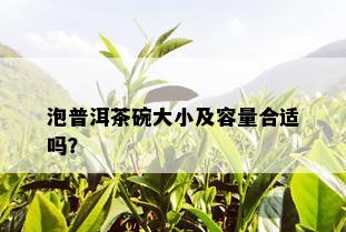 泡普洱茶碗大小及容量合适吗？