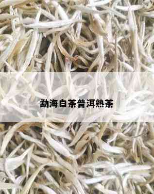 勐海白茶普洱熟茶