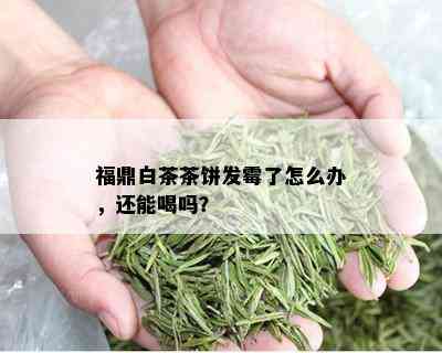 福鼎白茶茶饼发霉了怎么办，还能喝吗？