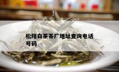 松阳白茶茶厂地址查询电话号码