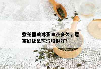 煮茶器喷淋蒸白茶多久，煮茶好还是蒸汽喷淋好？