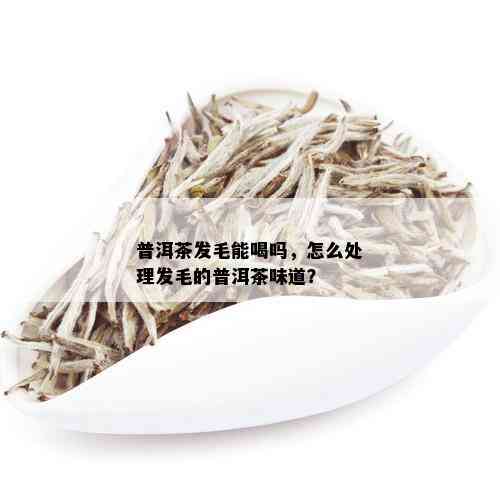 普洱茶发毛能喝吗，怎么处理发毛的普洱茶味道？