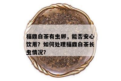 福鼎白茶有虫卵，能否安心饮用？如何处理福鼎白茶长虫情况？