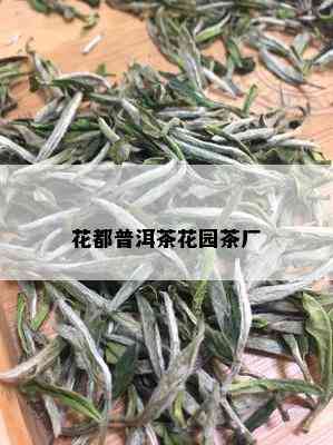 花都普洱茶花园茶厂