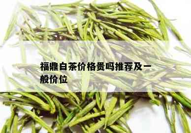 福鼎白茶价格贵吗推荐及一般价位