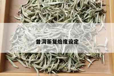 普洱茶复焙度设定