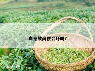 白茶放阁楼会坏吗？