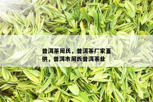 普洱茶周氏，普洱茶厂家直供，普洱市周氏普洱茶业