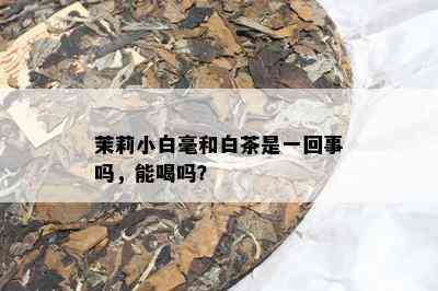 茉莉小白毫和白茶是一回事吗，能喝吗？