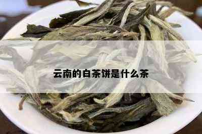 云南的白茶饼是什么茶