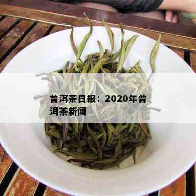 普洱茶日报：2020年普洱茶新闻