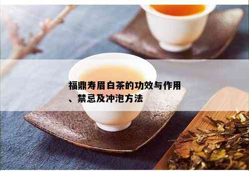 福鼎寿眉白茶的功效与作用、禁忌及冲泡方法