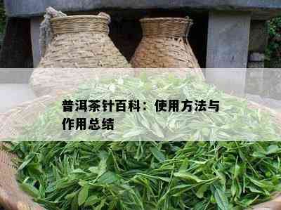 普洱茶针百科：使用方法与作用总结