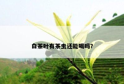 白茶叶有茶虫还能喝吗？