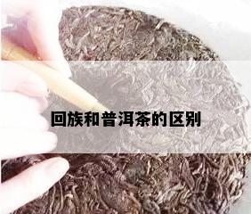  *** 和普洱茶的区别