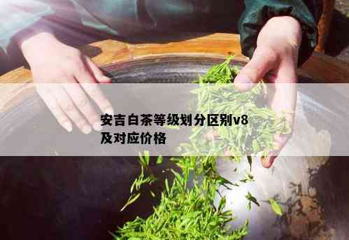 安吉白茶等级划分区别v8及对应价格