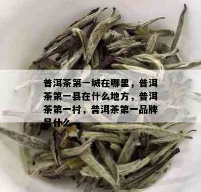 普洱茶之一城在哪里，普洱茶之一县在什么地方，普洱茶之一村，普洱茶之一品牌是什么