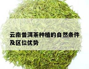 云南普洱茶种植的自然条件及区位优势