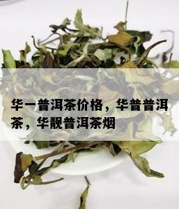 华一普洱茶价格，华普普洱茶，华靓普洱茶