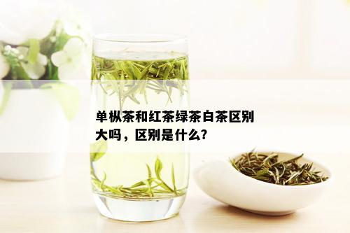 单枞茶和红茶绿茶白茶区别大吗，区别是什么？