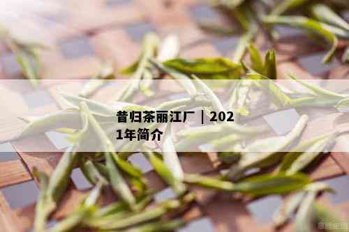 昔归茶丽江厂 | 2021年简介