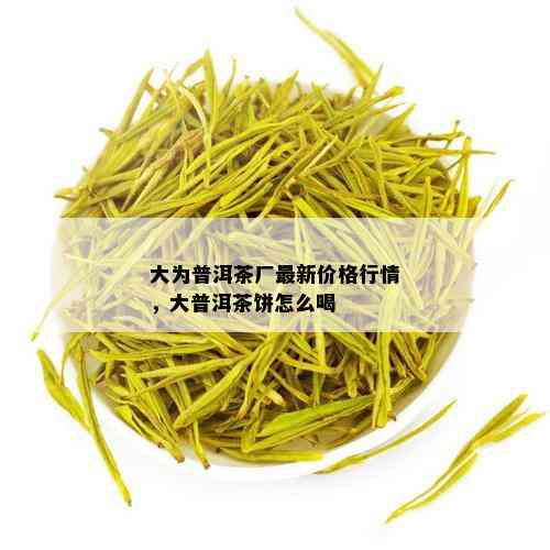 大为普洱茶厂最新价格行情，大普洱茶饼怎么喝