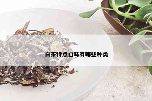 白茶特点口味有哪些种类