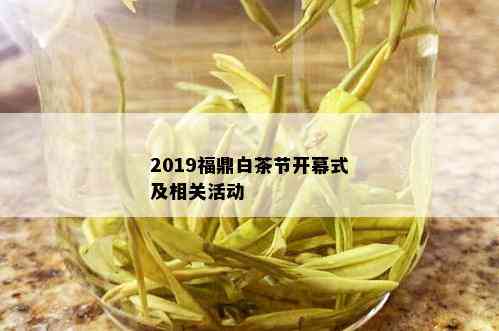 2019福鼎白茶节开幕式及相关活动