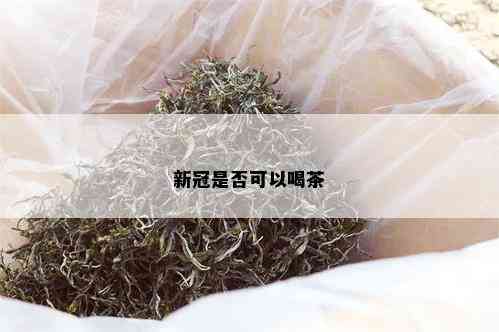 新冠是否可以喝茶