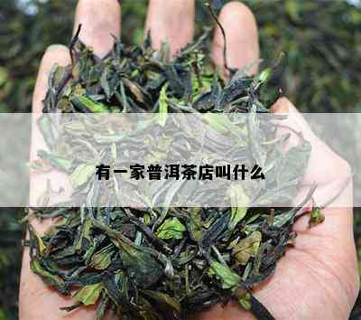 有一家普洱茶店叫什么