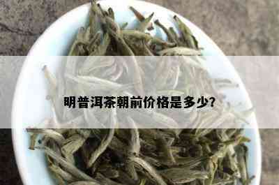 明普洱茶朝前价格是多少？