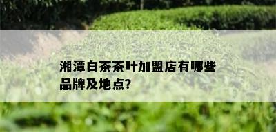 湘潭白茶茶叶加盟店有哪些品牌及地点？