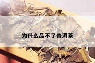 为什么品不了普洱茶