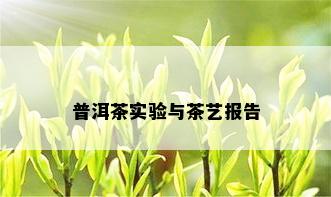 普洱茶实验与茶艺报告