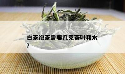 白茶泡茶需要几克茶叶和水？