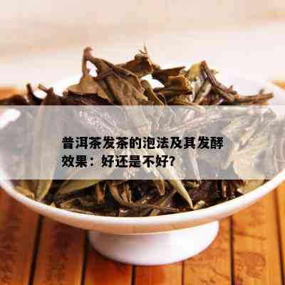 普洱茶发茶的泡法及其发酵效果：好还是不好？