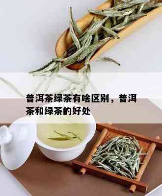 普洱茶绿茶有啥区别，普洱茶和绿茶的好处