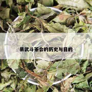 易武斗茶会的历史与目的