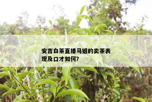 安吉白茶直播马姐的卖茶表现及口才如何？