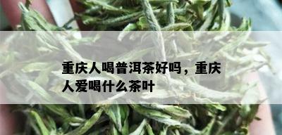 重庆人喝普洱茶好吗，重庆人爱喝什么茶叶