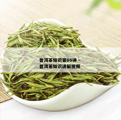 普洱茶知识第66讲 - 普洱茶知识讲解视频