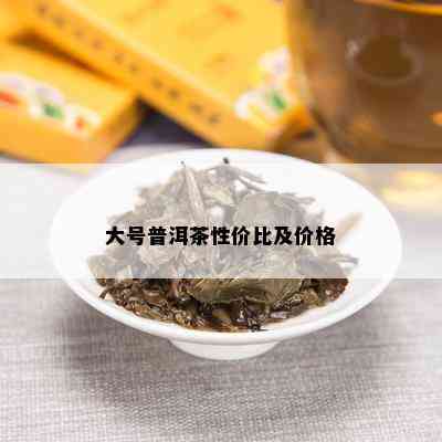 大号普洱茶性价比及价格