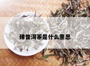 臻普洱茶是什么意思