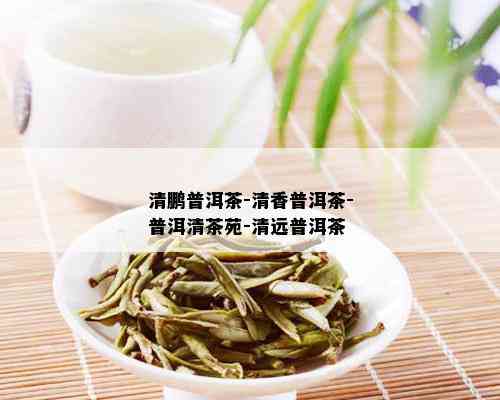 清鹏普洱茶-清香普洱茶-普洱清茶苑-清远普洱茶