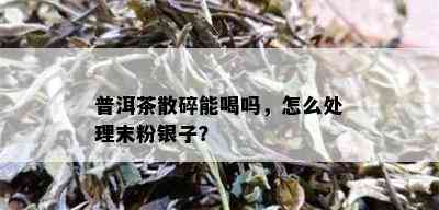 普洱茶散碎能喝吗，怎么处理末粉银子？