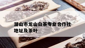 潜山市龙山白茶专业合作社地址及茶叶