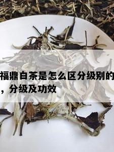 福鼎白茶是怎么区分级别的，分级及功效