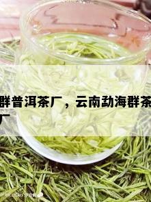 群普洱茶厂，云南勐海群茶厂