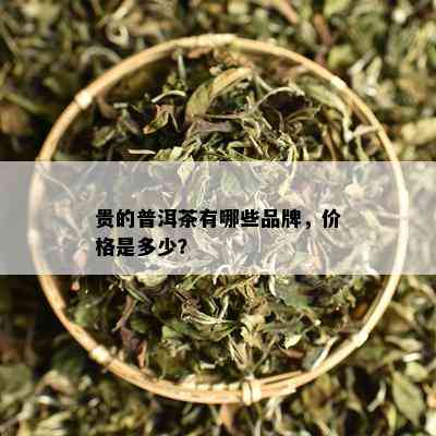 贵的普洱茶有哪些品牌，价格是多少？